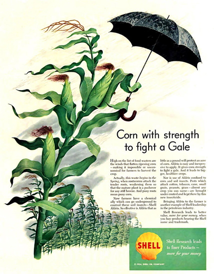 Shell Corn With Strength To Fight A Gale 1952 | Vintage Ad and Cover Art 1891-1970