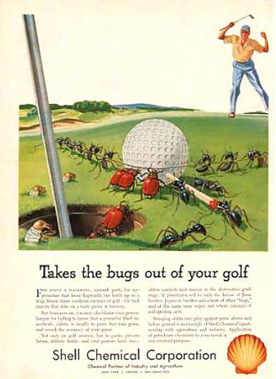 Shell Takes The Bugs Out Of Your Golf 1953 | Vintage Ad and Cover Art 1891-1970