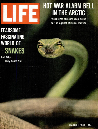 Snakes and why they Scare You 1 Mar 1963 Copyright Life Magazine | Life Magazine Color Photo Covers 1937-1970