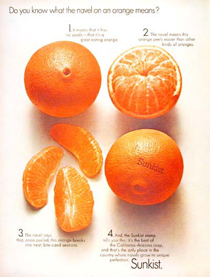 Sunkist Oranges 1966 Navel On An Orange | Vintage Ad and Cover Art 1891-1970