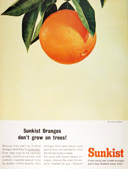 Sunkist Oranges Dont Grow On Trees 1965 | Vintage Ad and Cover Art 1891-1970