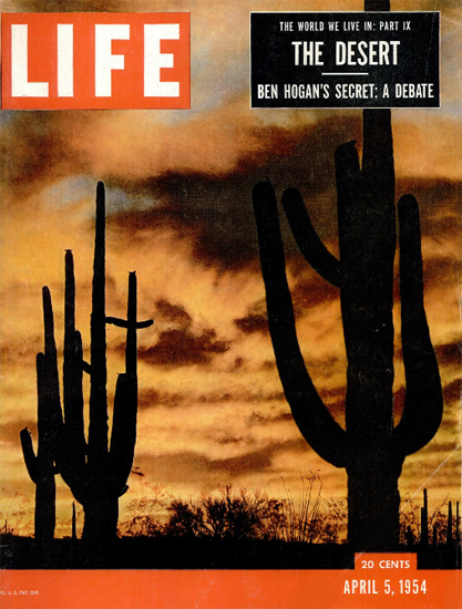 The Desert Lives 5 Apr 1954 Copyright Life Magazine | Life Magazine Color Photo Covers 1937-1970