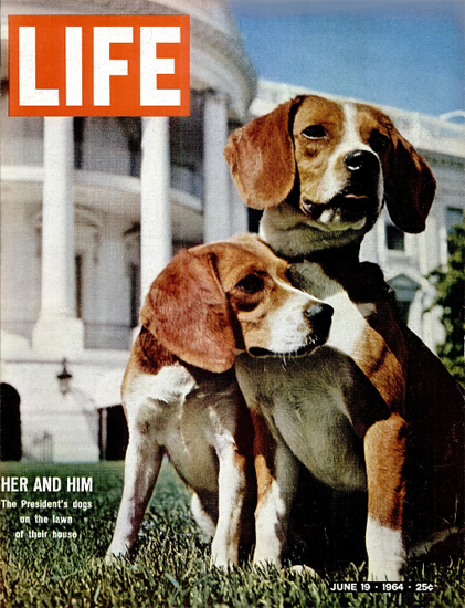 US Presidents Dogs at White House 19 Jun 1964 Copyright Life Magazine | Life Magazine Color Photo Covers 1937-1970