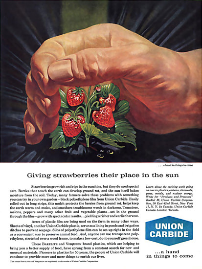 Union Carbide Strawberries | Vintage Ad and Cover Art 1891-1970