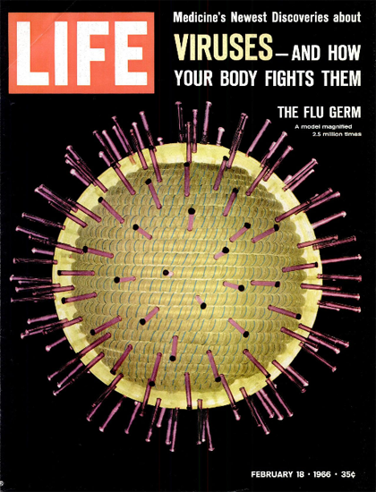 Viruses Model The Flu Germ 18 Feb 1966 Copyright Life Magazine | Life Magazine Color Photo Covers 1937-1970