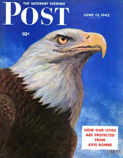 WW Calvert Saturday Evening Post Closeup of Bald Eagle 1942_06_13 | The Saturday Evening Post Graphic Art Covers 1931-1969