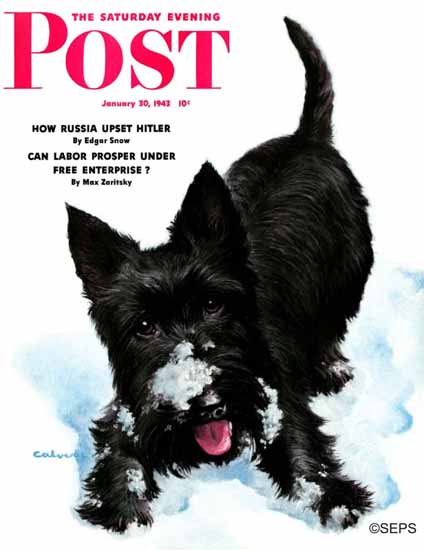 WW Calvert Saturday Evening Post Scotty in Snow 1943_01_30 | The Saturday Evening Post Graphic Art Covers 1931-1969