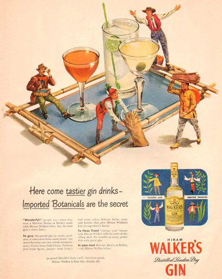 Walkers Gin Imported Botanicals 1951 | Vintage Ad and Cover Art 1891-1970