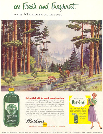 Watkins Pine Oil Disinfectant Forest 1955 | Vintage Ad and Cover Art 1891-1970