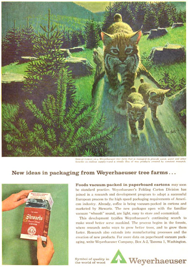 Weyerhaeuser Packaging Bobcat Family 1963 | Vintage Ad and Cover Art 1891-1970