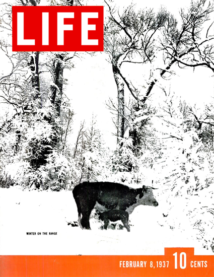 Winter on the Range 8 Feb 1937 Copyright Life Magazine | Life Magazine BW Photo Covers 1936-1970