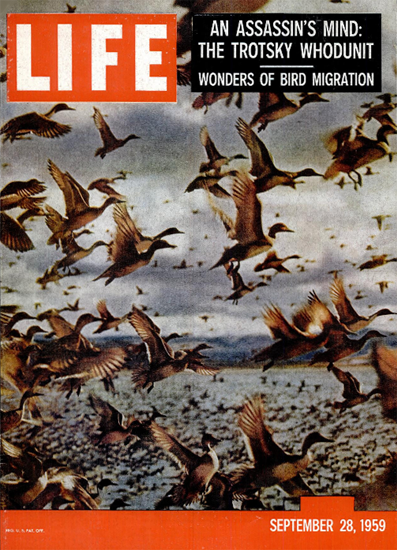 Wonders of Bird Migration 28 Sep 1959 Copyright Life Magazine | Life Magazine Color Photo Covers 1937-1970